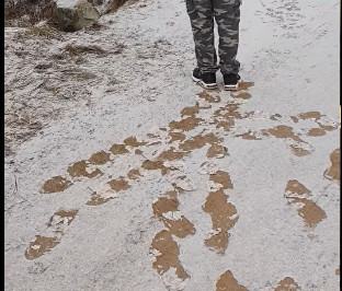 Artura mamma Indra lūdz palīdzību