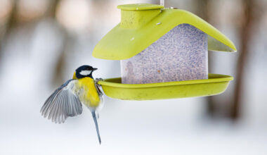 Sibīrijas sprādziens: Eiropā gaidāms spēcīgs aukstuma vilnis