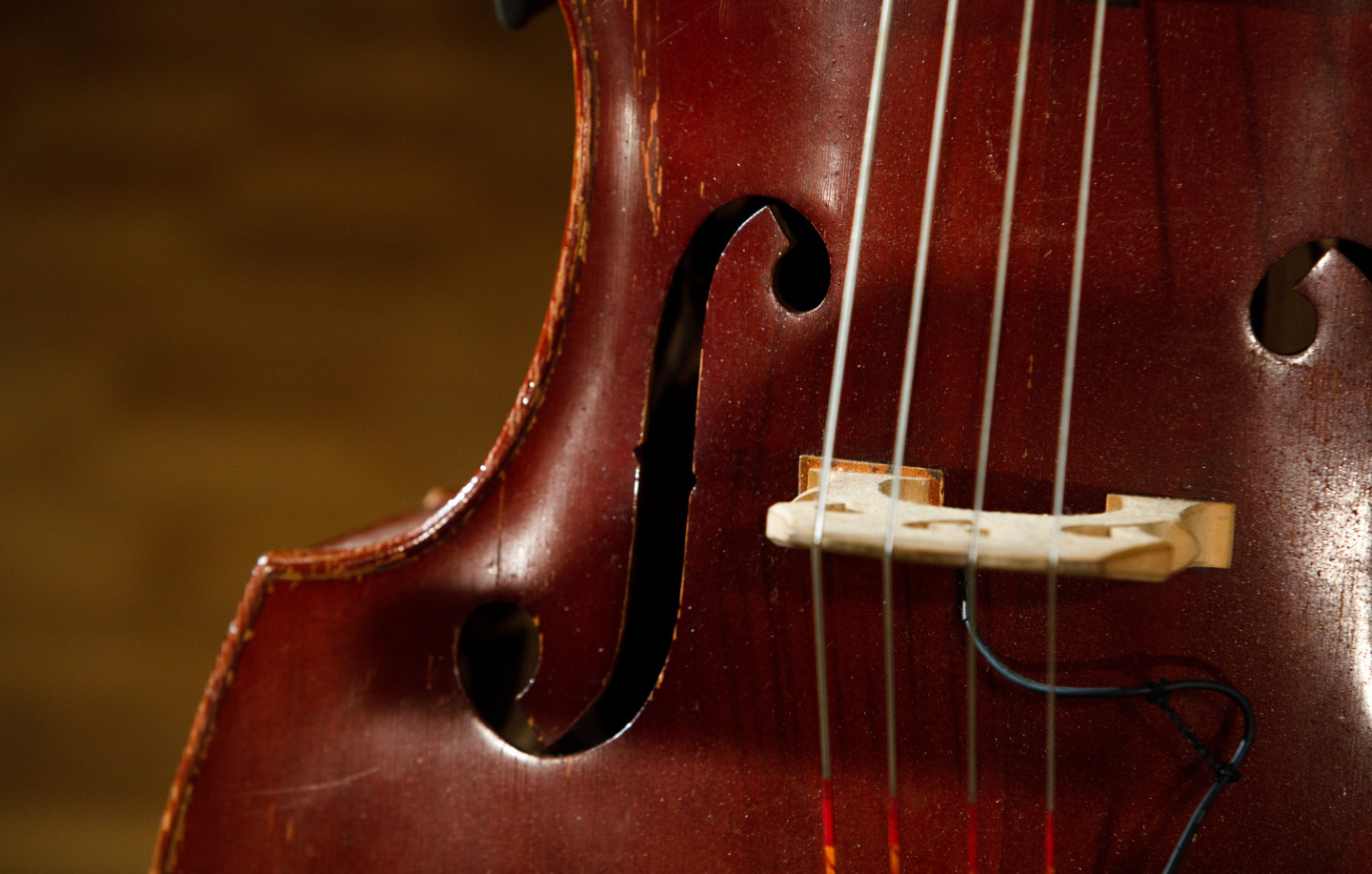 Mūzikas nozares pārstāvju atklātā vēstule par pasākumu "Dziesmu svētki "Manai Dzimtenei"