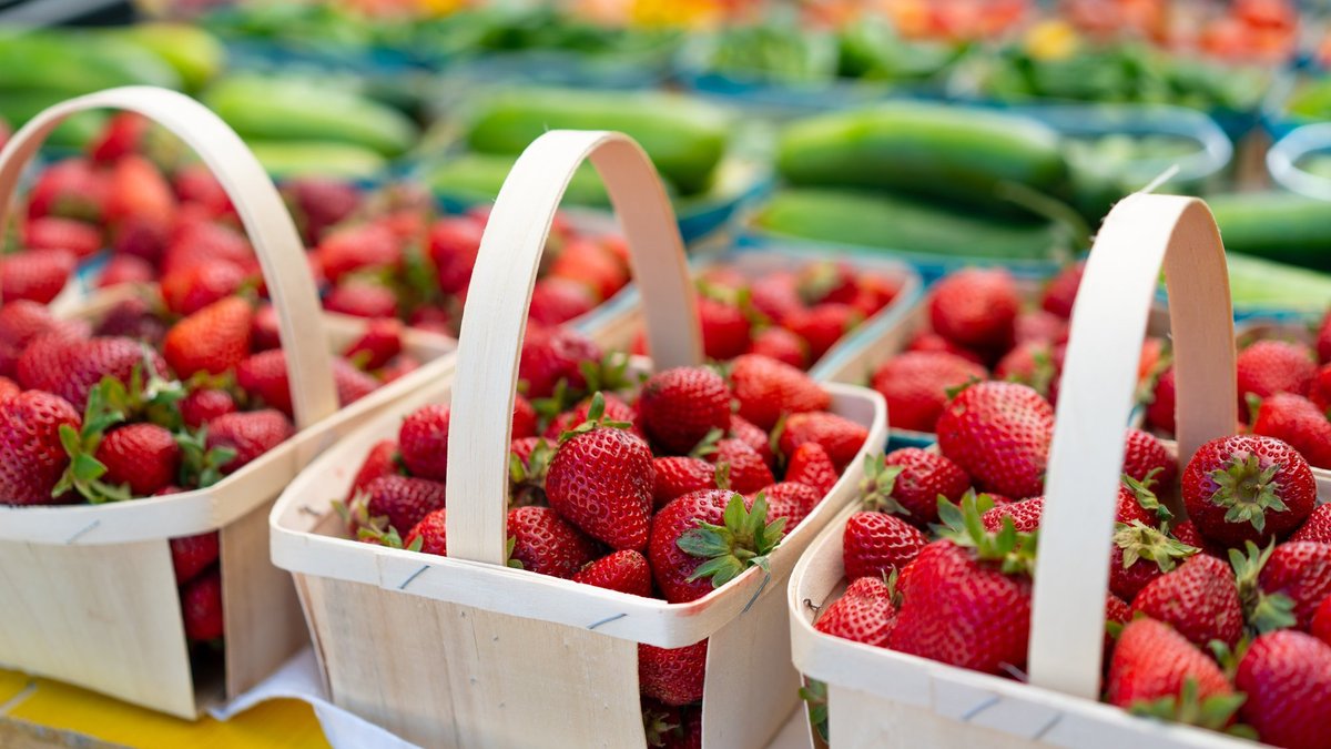 Konkurences padome ierosinājusi vairākas pārkāpuma lietas pret iepircējiem