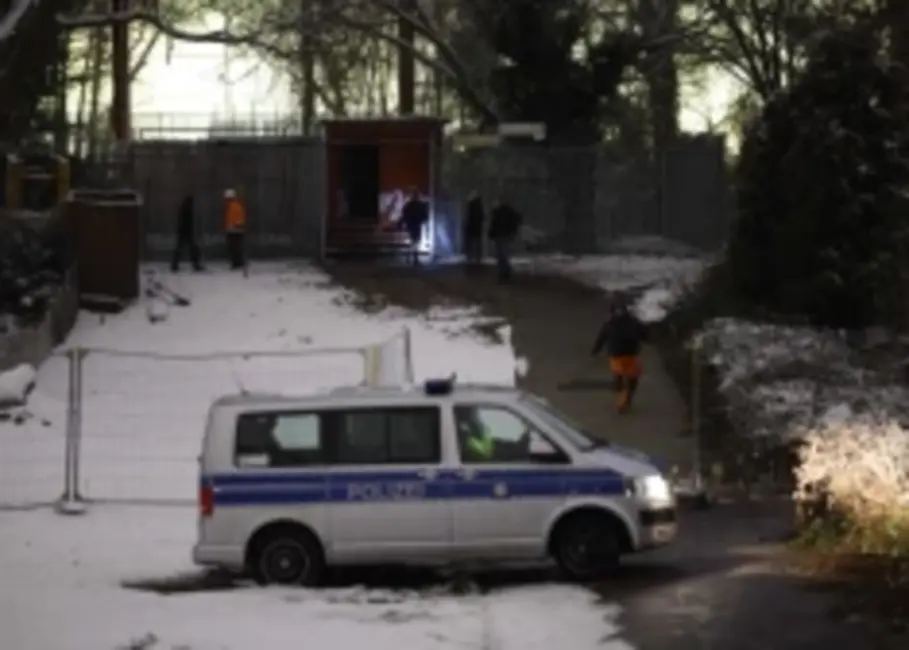 Berlīne atgūstas pēc sabotāžas: desmitiem tūkstošu mājsaimniecību atjaunota elektroapgāde