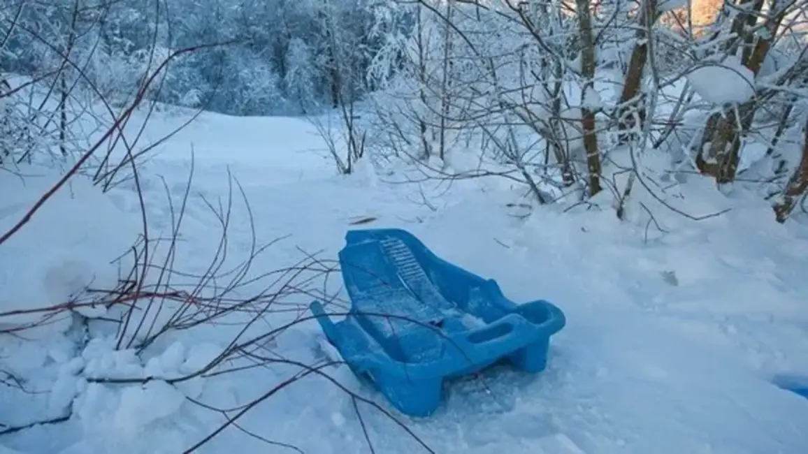 Četri bērni guvuši nopietnas traumas, ar ragaviņām iebraucot kokos