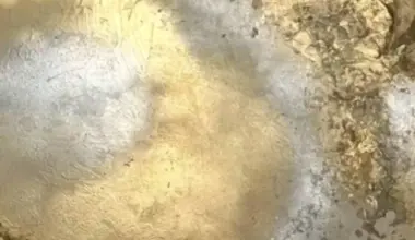 Daugavpilī atklās mākslinieces Lienes Kivičas personālizstādi "Zelts nav krāsa - tas ir klusums, kas spīd"