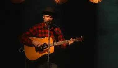 Gruzīnu mākslinieks Šota Adamašvili ASV kantrī festivālos ieguvis divas prestižas balvas