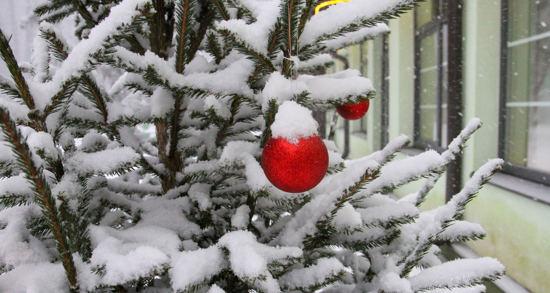 1.janvāra pēcpusdienā prognozē stipru snigšanu
