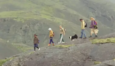 Kinoteātros nonāk stāsti par ģimenes saitēm: no šķirtas laulības līdz radinieku nesaprašanai