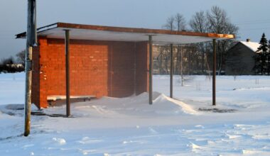 80 gadus vecu kundzi pusnaktī ziemā atstāja svešā vietā. Autobusu šoferu darbu regulē pārāk stingri noteikumi