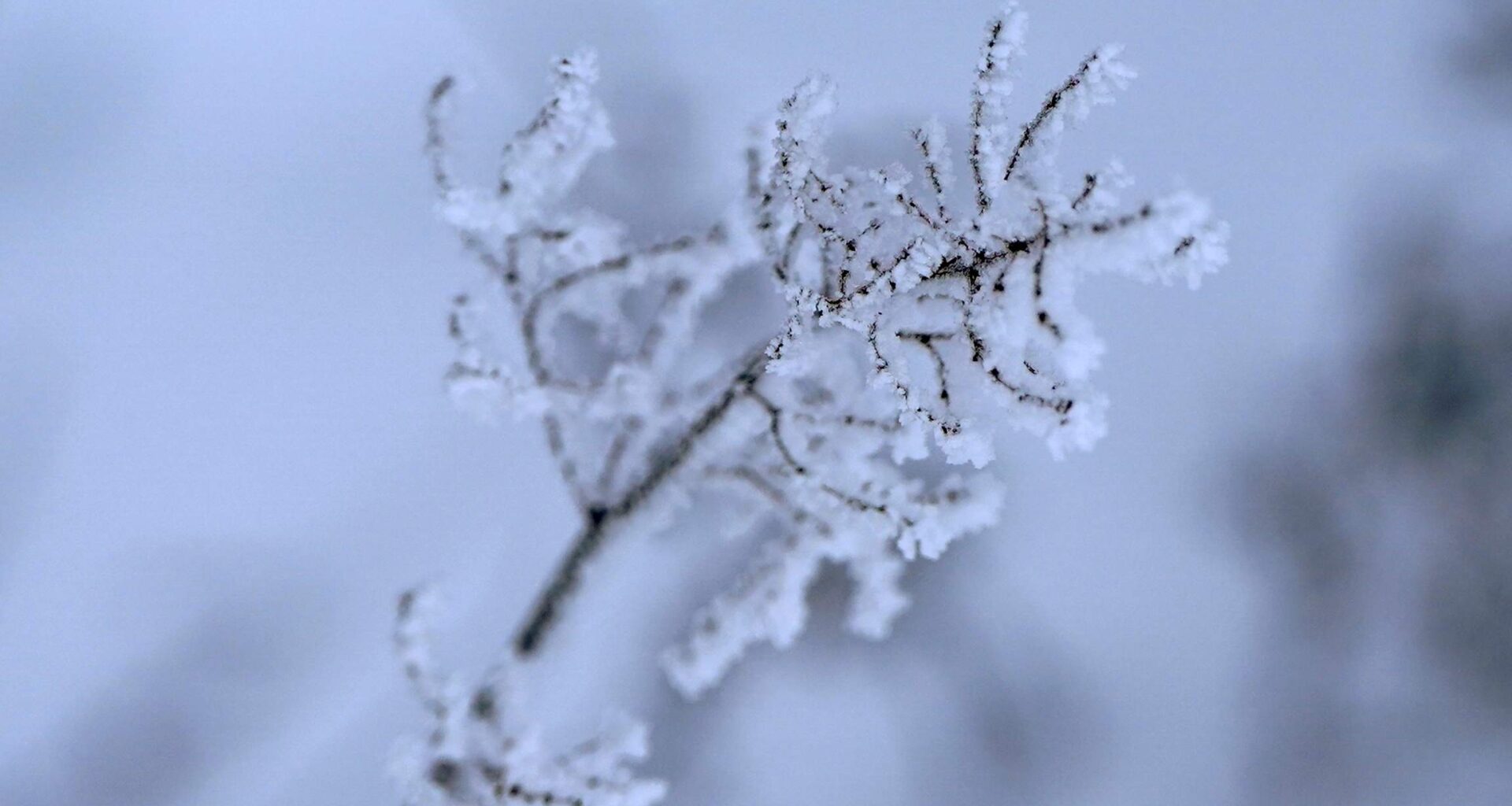 Sniega segas biezums pieaugs – vietām pat par 7 centimetriem! Kāds laiks gaidāms šodien? - LA.LV