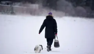 Latgalē gaisa temperatūra noslīdējusi līdz -21 grādam, Latvijā turpinās sals