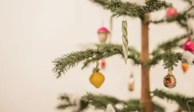 Liepājā Ziemassvētku eglītes varēs nodot bez maksas līdz janvāra beigām