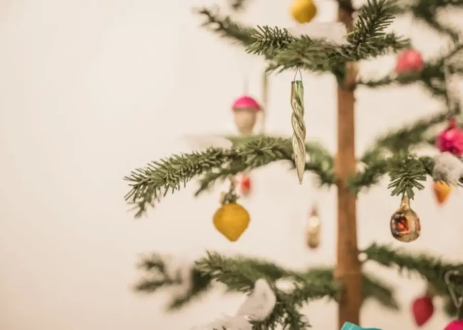 Liepājā Ziemassvētku eglītes varēs nodot bez maksas līdz janvāra beigām
