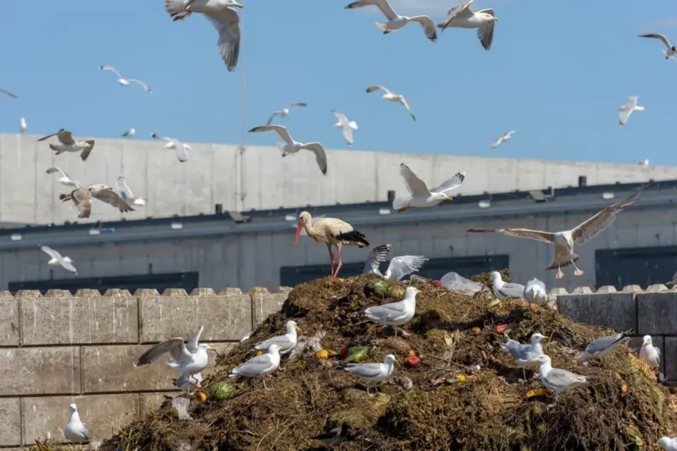 No šodienas pieaug tarifi par nešķirotu sadzīves atkritumu nodošanu poligonos