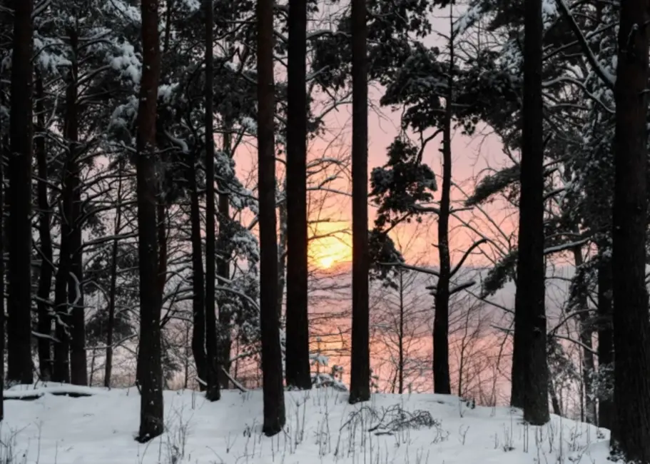 Piektdien Latvijā spīdēs saule un saglabāsies sals, janvāra beigās gaidāms straujš aukstuma vilnis