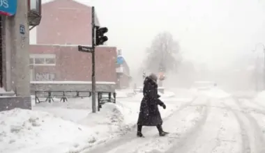 Ventspils pašvaldība skaidro sniega neizvešanas politiku: izmaksas un nepieciešamība