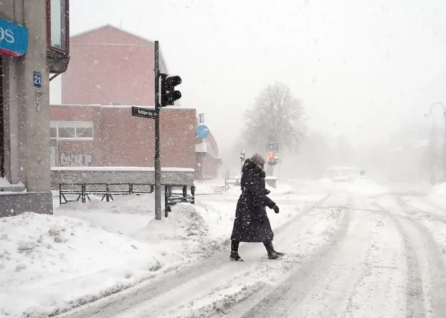 Ventspils pašvaldība skaidro sniega neizvešanas politiku: izmaksas un nepieciešamība