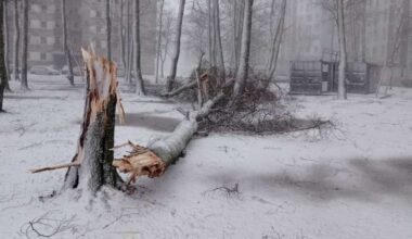 Jaunākās prognozes 7 dienām liek sarosīties – vai mūs sagaida pirmais -20 grādu rekords