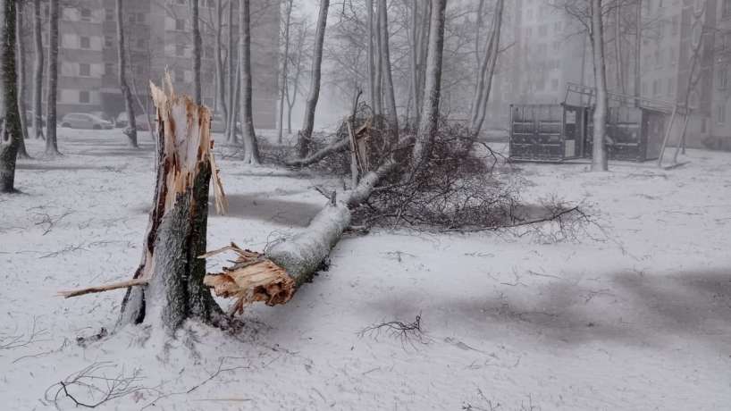 Jaunākās prognozes 7 dienām liek sarosīties – vai mūs sagaida pirmais -20 grādu rekords