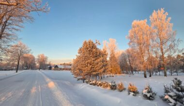 Aukstums pastiprināsies – brīvdienās gaidāms stiprs sals -