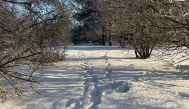 Brīvdienās sals būs līdz –25 grādiem, nākamnedēļ laikapstākļi krasi mainīsies -