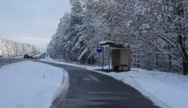 ZZS pārmet "Progresīvajiem" vienaldzību pret Latvijas reģioniem, saskata problēmas sabiedriskā transporta jomā