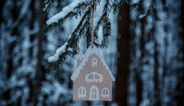 Kas šogad gaidāms mājokļu kreditēšanā?