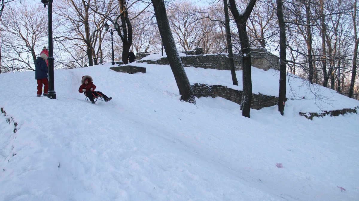 Gada pirmajās dienās Bērnu slimnīcā 47 ragaviņu braucienos cietušie