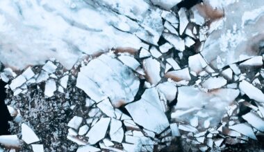 Daugavpilī no upes glābēji izcēluši bojāgājušo