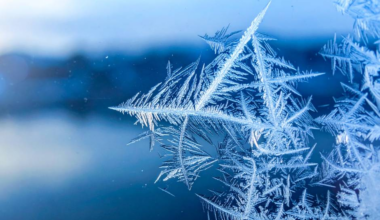 Dzeltenais brīdinājums: šonakt gaidāms stiprs sals
