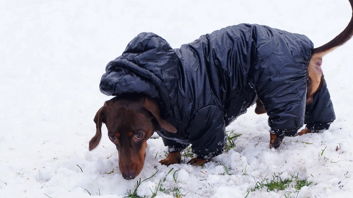 Gaisa temperatūra Latgalē noslīdējusi līdz -21 grādam