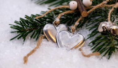 Mīlestības horoskops nedēļai no 5. līdz 11. Janvārim: Vēzim – mierinājums, Skorpionam