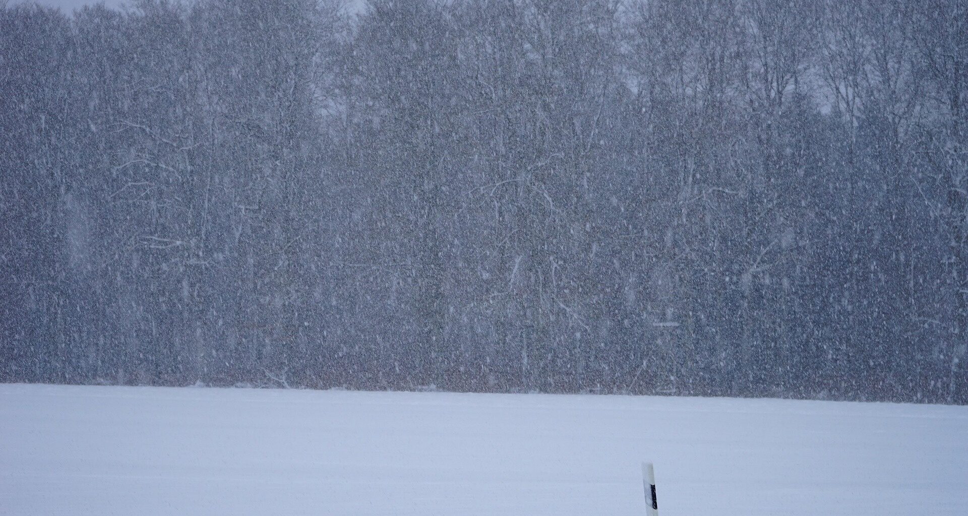 Latvijā gaidāms sniegvilksnis un stiprs putenis / Jēkabpils Laiks: Jēkabpils ziņas
