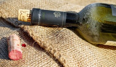 Vīna vakars trijotnei Jēkabpilī beidzas bēdīgi / Jēkabpils Laiks: Jēkabpils ziņas