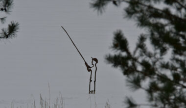 Atcelts aizliegums atrasties uz Radžu ūdenskrātuves ledus / Jēkabpils Laiks: Jēkabpils ziņas