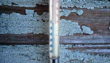 Jēkabpils pusē piedzīvots aukstākais rīts kopš 2024. gada / Jēkabpils Laiks: Jēkabpils ziņas