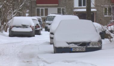 Rožupē izveidojusies gandrīz 30 centimetru bieza sniega sega / Jēkabpils Laiks: Jēkabpils ziņas