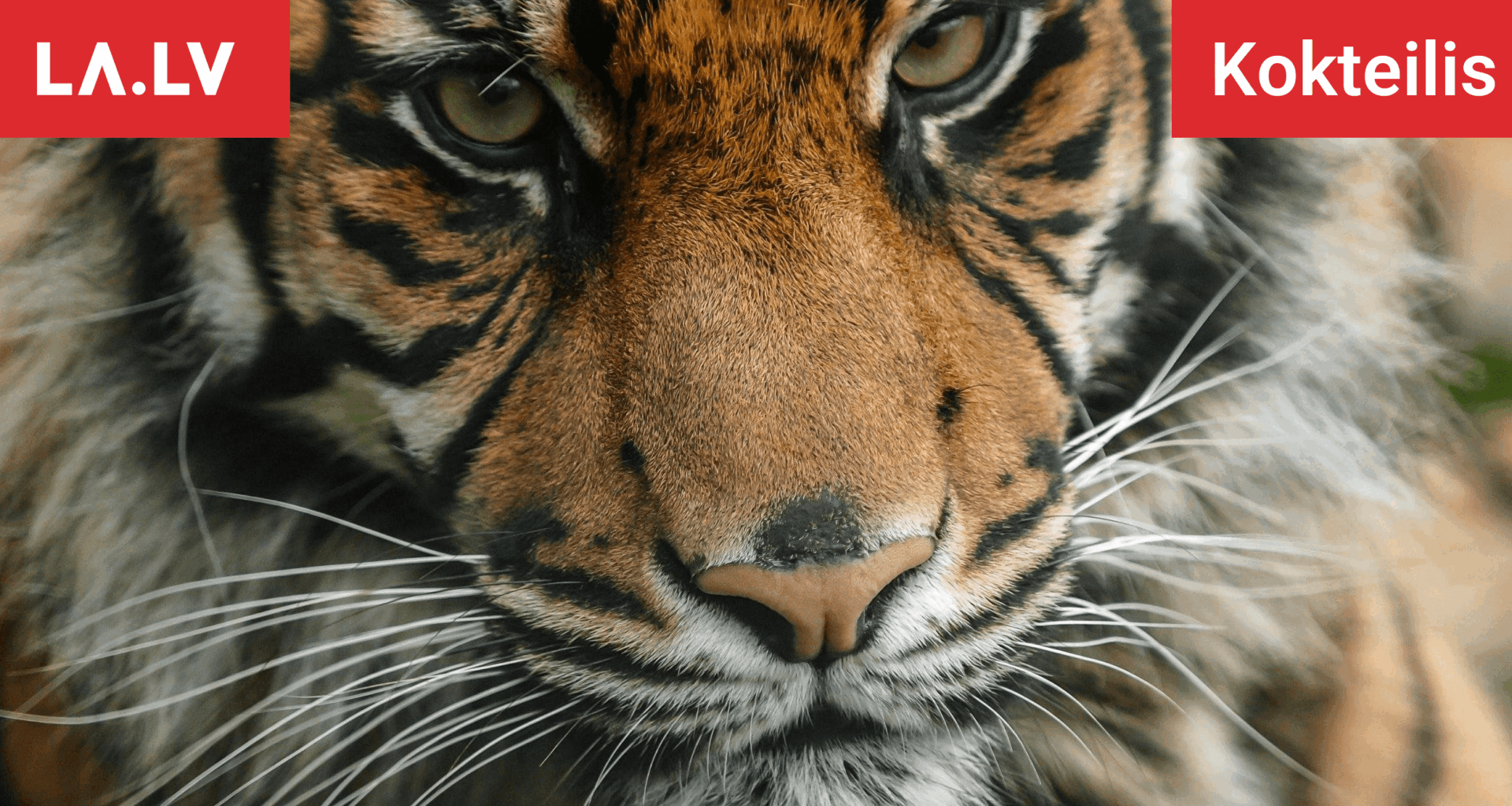 Šīs zodiaka zīmes saskaras ar pagrieziena punktu: dzīve tām nekad vairs nebūs tāda, kā līdz šim