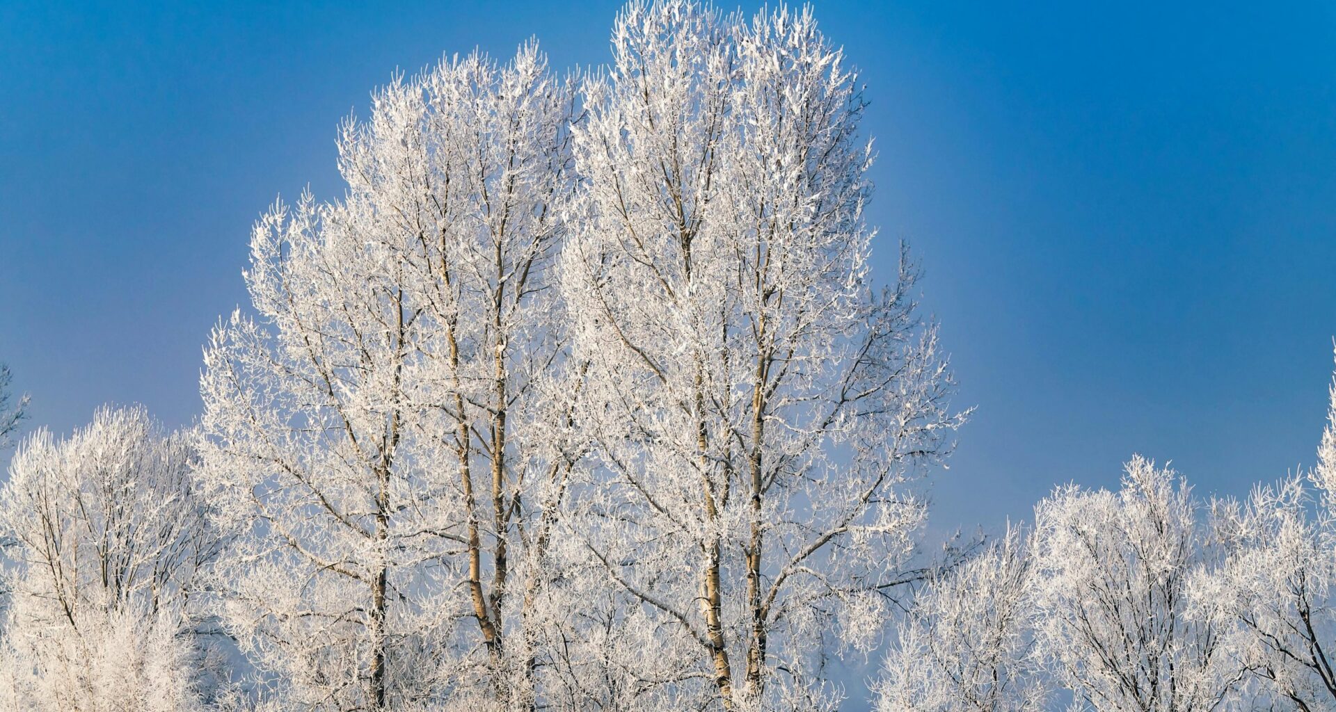 Sagatavojaties laikus! Latvijai tuvojas bargs sals no Sibīrijas - LA.LV