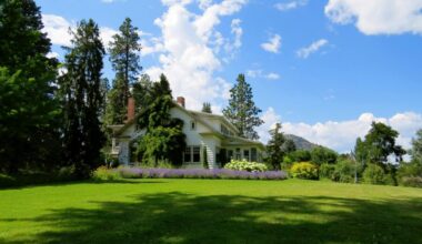 Sūnas vairs neaugs zālienā, ja ziemā uz zāles uzlies 1 virtuves sastāvdaļu