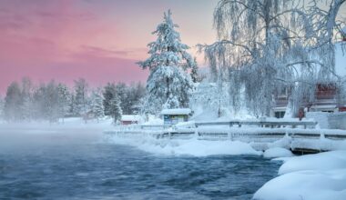 Dabas kataklizma. 1000km gari sastrēgumi, nav apkures, bojāgājušie – sniegs un sen nepieredzēts aukstums paralizē Eiropu