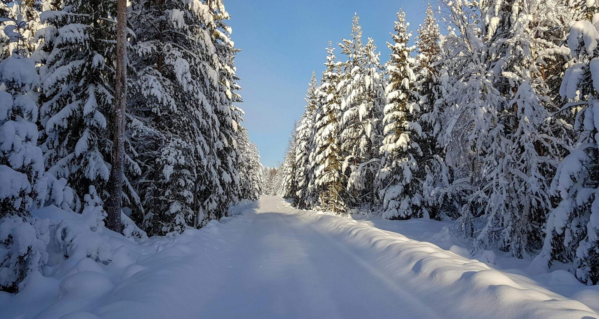 FOTO. Tuvākajām naktīm – dzeltenais brīdinājums! Bargās prognozes grasās piepildīties; februāris būs sveloši auksts