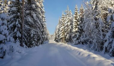 FOTO. Tuvākajām naktīm – dzeltenais brīdinājums! Bargās prognozes grasās piepildīties; februāris būs sveloši auksts
