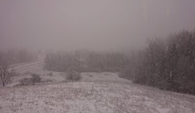 Gaisa temperatūra valstī no -7 līdz -17 grādiem, trešdienas vakarā Kurzemē sāksies sniegputenis / Raksts