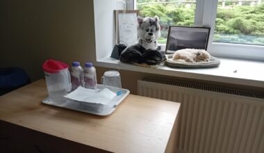 Sociālās aprūpes centra "Rīga" filiālē "Ezerkrasti"