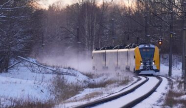 Elektrovilciens Vivi