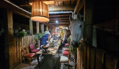 Citādas svinības – Ugunīgā zirga gadu Mārupē sagaida stallī / Raksts