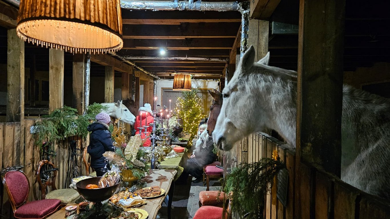 Jaungada sagaidīšana atpūtas vietā "Zirgzandales"