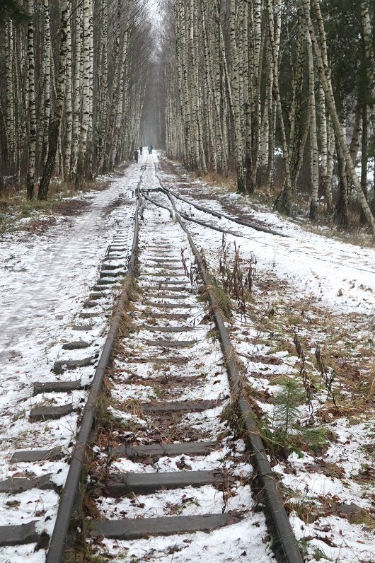 Baložu kūdras bānīša sliedes.