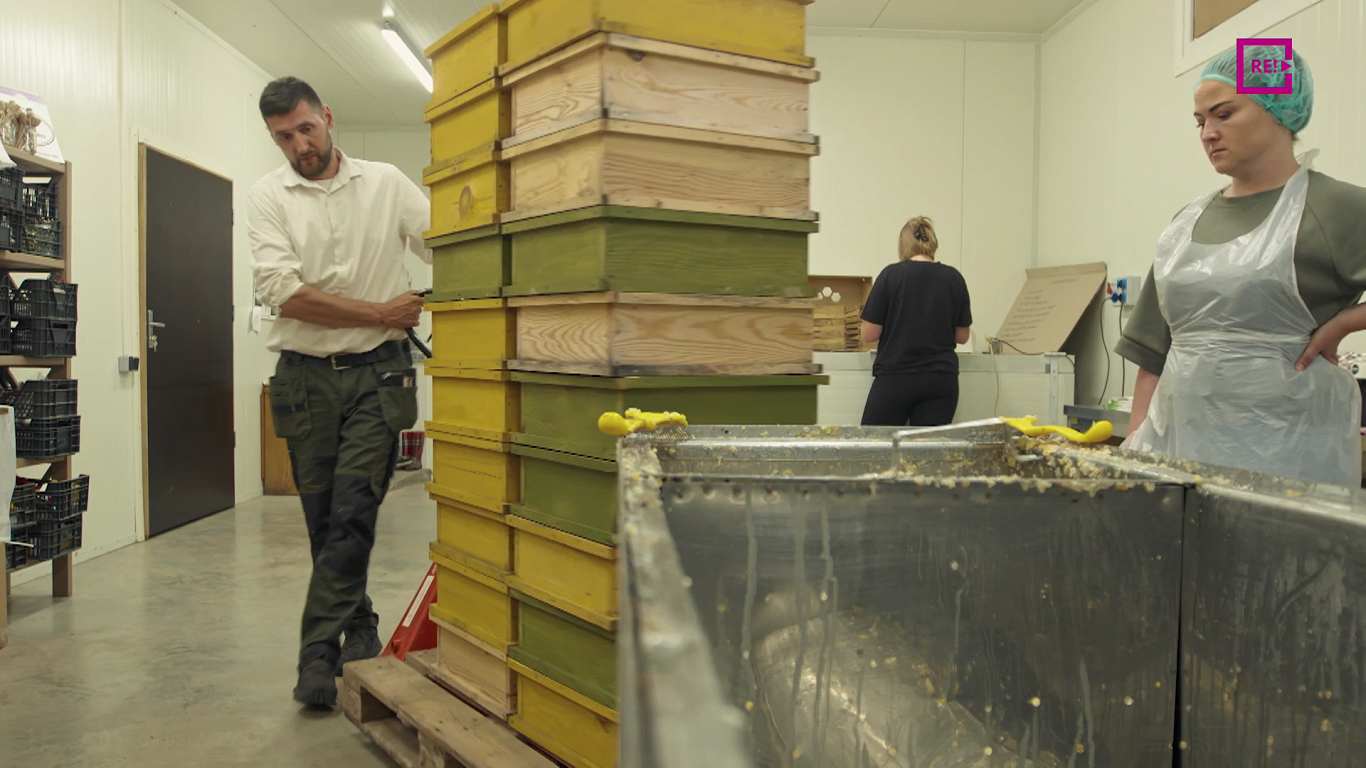 Zemes stāsti. Ieva un Helmuts Bergholdi. ZS "Baļļas"