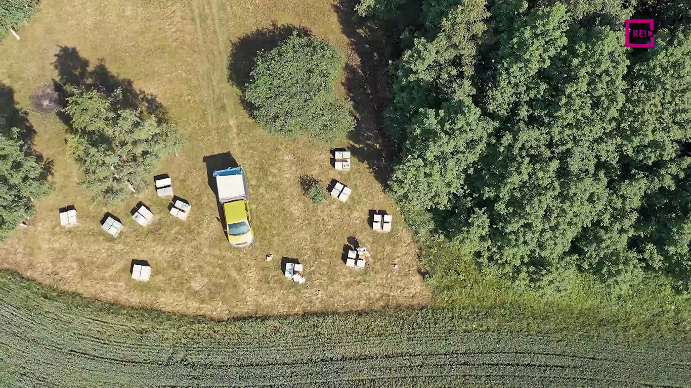 Zemes stāsti. Ieva un Helmuts Bergholdi. ZS "Baļļas"