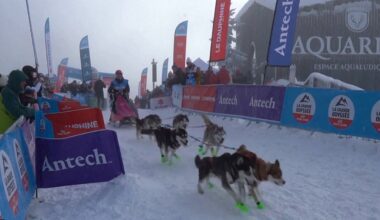 Francijas Alpos ikgadējās suņu pajūgu sacīkstes – šāda veida sarežģītākās Eiropā / Raksts